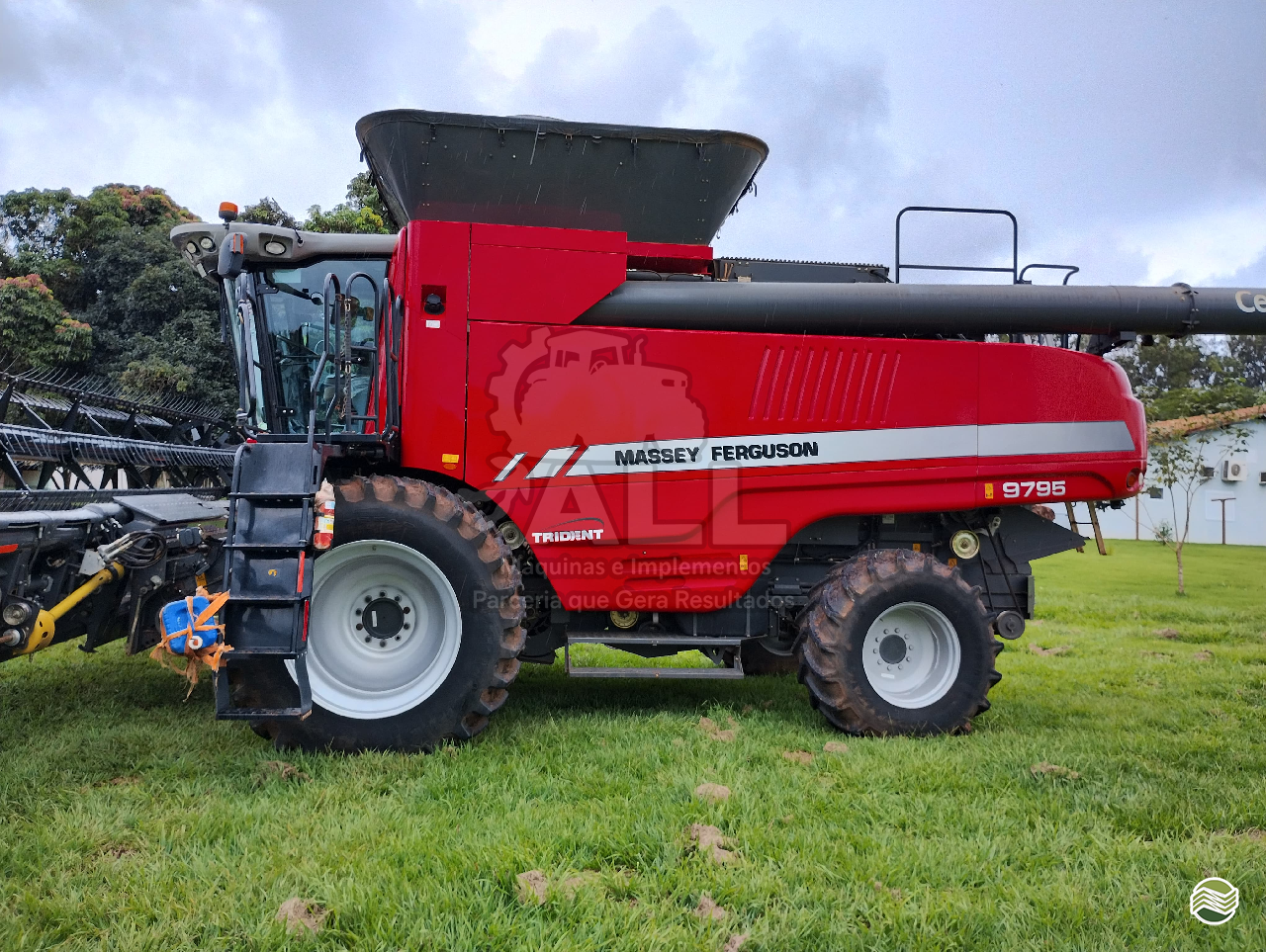 COLHEITADEIRA MASSEY FERGUSON MF 9795 ALL Máquinas e Implementos RONDONOPOLIS MATO GROSSO MT